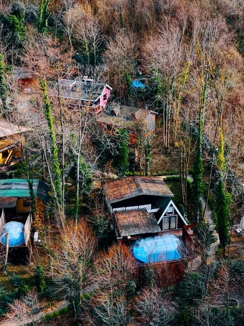 listing card gallery